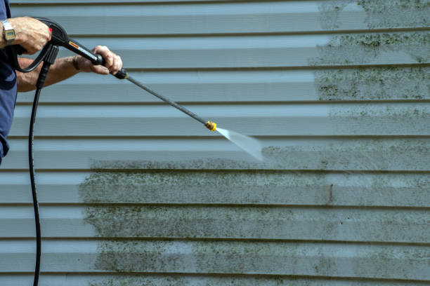 Best Sidewalk and Walkway Cleaning  in Avodo Heights, CA